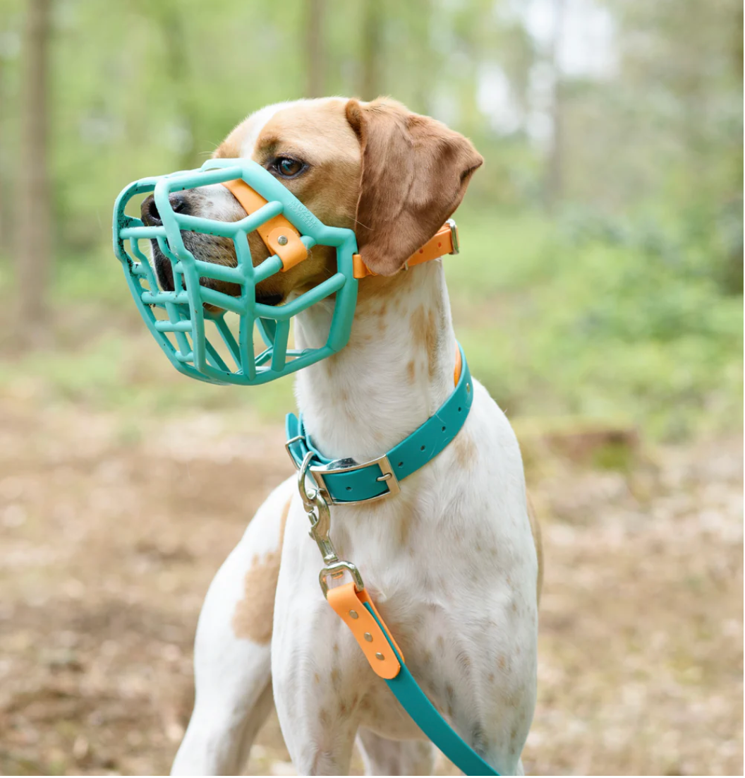 Bumas muzzle fashion