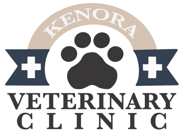 Kenora Veterinary Clinic