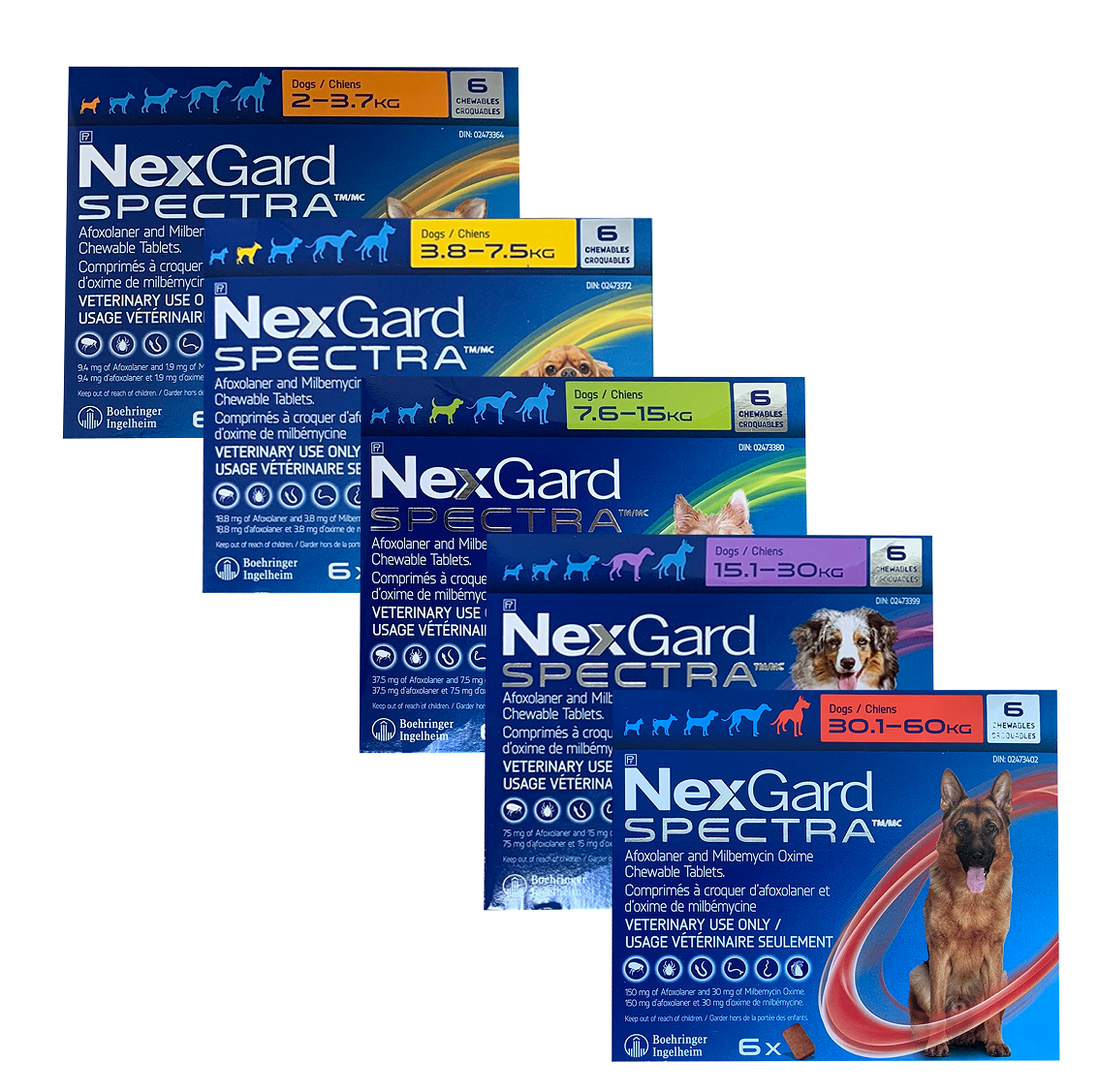 Nexgard Spectra Kenora Veterinary Clinic