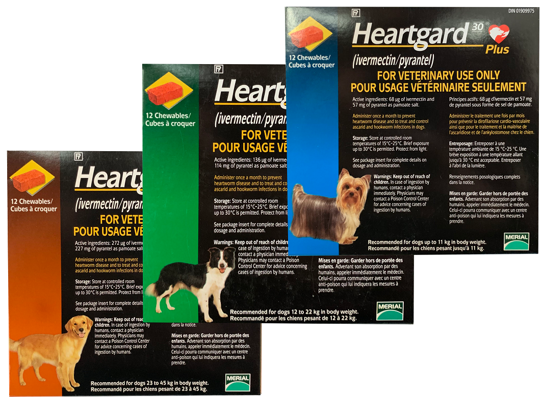 Heartgard Plus +