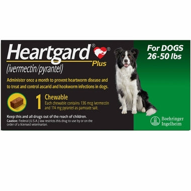 Heartgard Plus +
