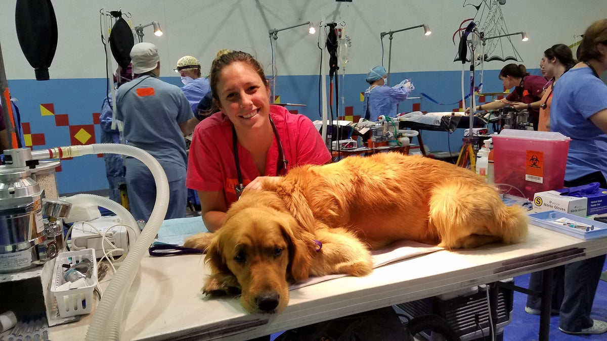Veterinary Ward Meet Our Team – Kenora Veterinary Clinic