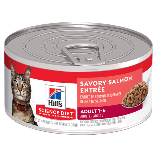 Feline Science Diet Adult Salmon Entree 24 x 155gm